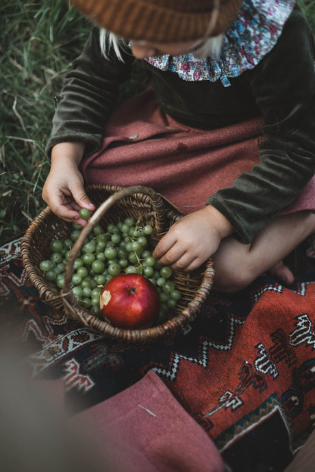 « Le pique-nique des vendanges »